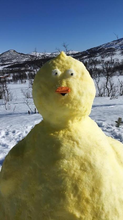 Uvdal Berntebuヴィラ エクステリア 写真